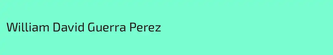 William David Guerra Perez